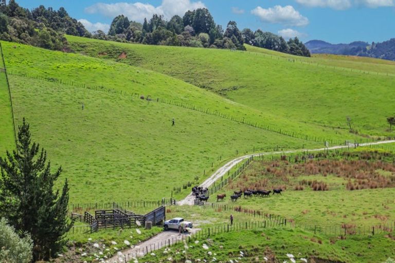 Photo of property in 76 Wyllie Road, Warkworth, 0981