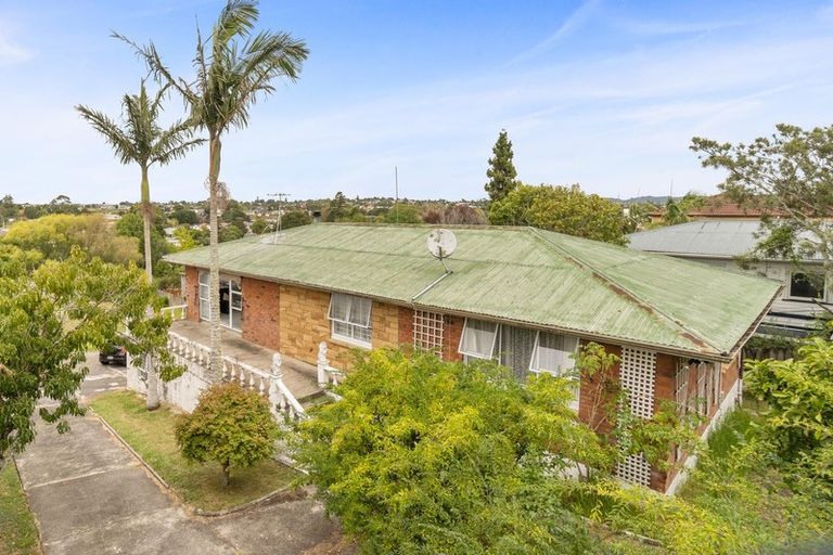 Photo of property in 79 Buscomb Avenue, Henderson, Auckland, 0610