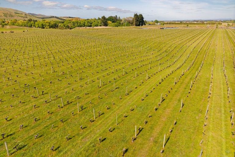 Photo of property in 35 Brighton Street, Island Bay, Wellington, 6023