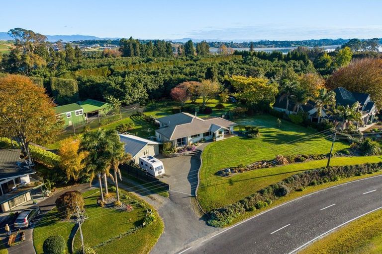 Photo of property in 293 Plummers Point Road, Whakamarama, Tauranga, 3172