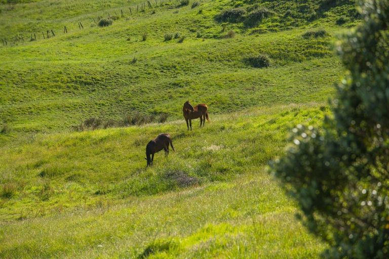 Photo of property in 153 Wheatstone Road, Wainui, Gisborne, 4073