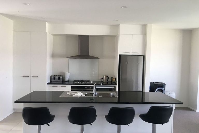 Photo of property in 13 Lemon Tree Lane, Flat Bush, Auckland, 2019