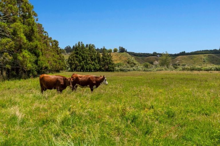 Photo of property in 1 Te Karaka Drive, Minden, Whakamarama, 3172