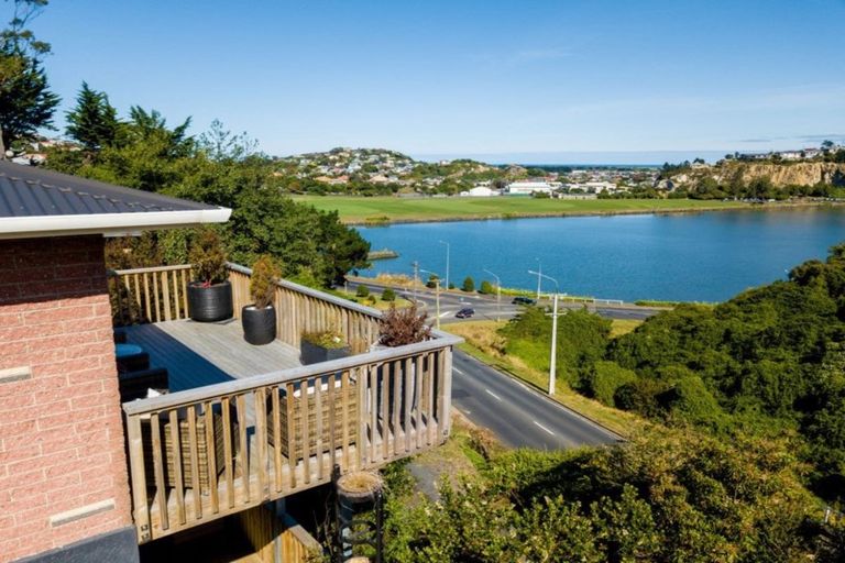 Photo of property in 16 Larnach Road, Waverley, Dunedin, 9013