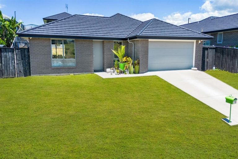 Photo of property in 29 Harry Richards Way, Pokeno, 2402