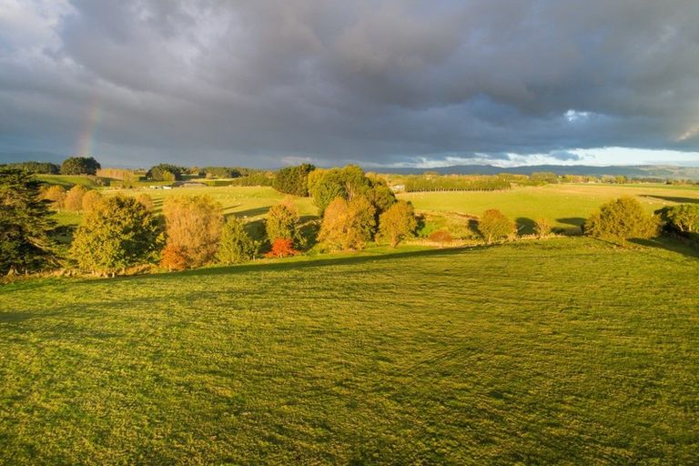 Photo of property in 335 Tutaki Road, Kelvin Grove, Palmerston North, 4470