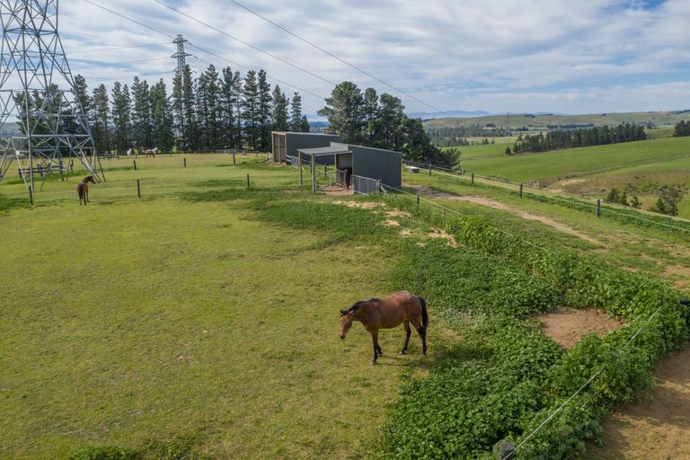 Photo of property in 195 Mound Road, Broomfield, 7482