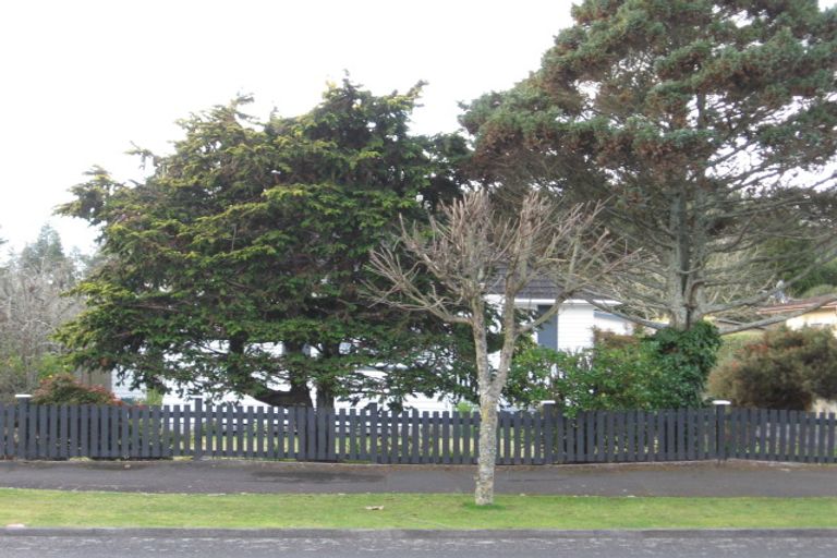 Photo of property in 53 Mansel Avenue, Hillcrest, Hamilton, 3216