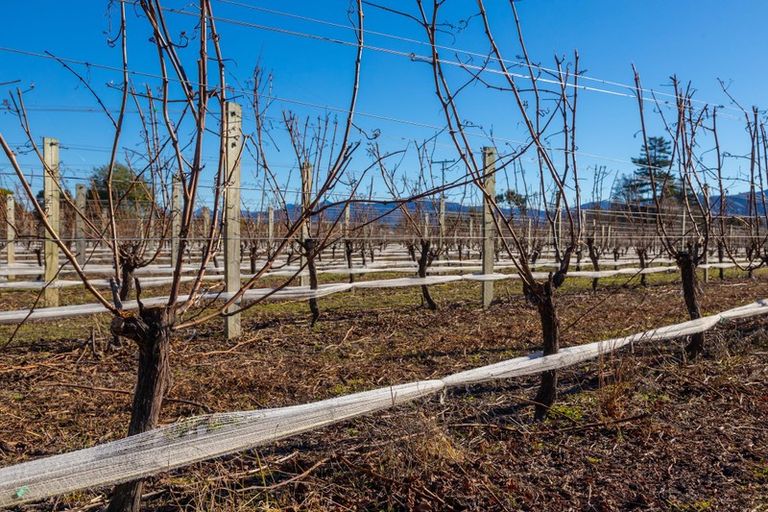 Photo of property in 34a Ferry Road, Days Bay, Lower Hutt, 5013