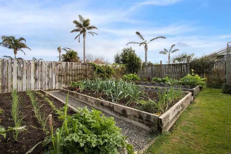 Photo of property in 7 Island Vista, Athenree, Katikati, 3177