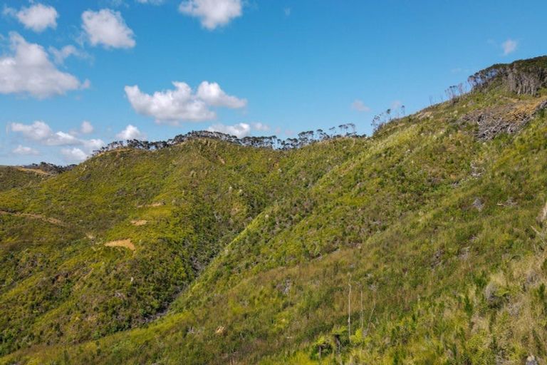 Photo of property in 478 Port Charles Road, Waikawau, Coromandel, 3584