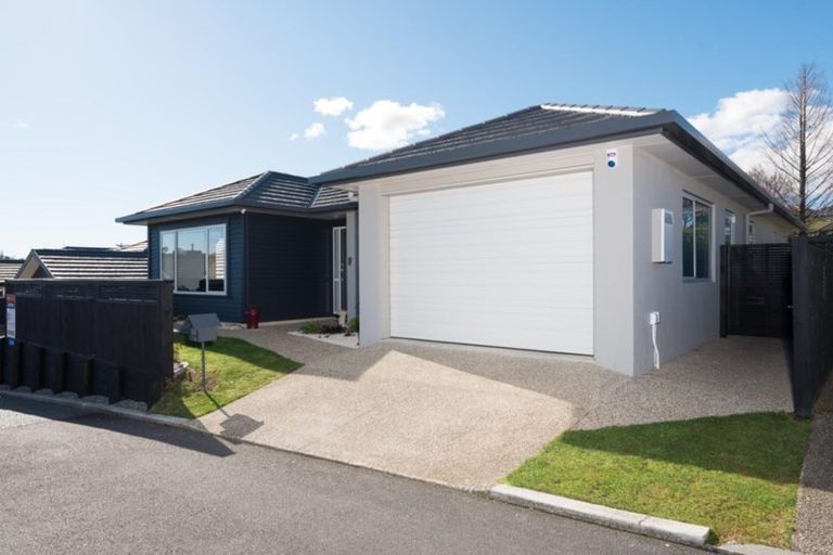 Photo of property in 53 Bridgewater Way, Pyes Pa, Tauranga, 3112