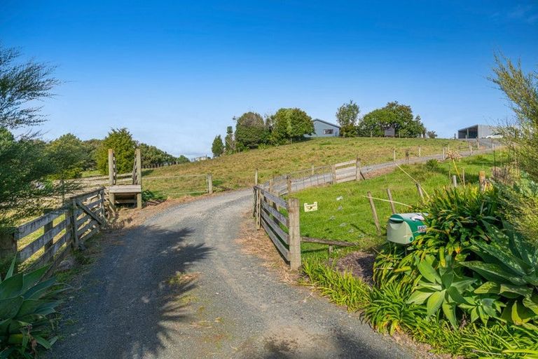 Photo of property in 499 Shelly Beach Road, South Head, Helensville, 0874