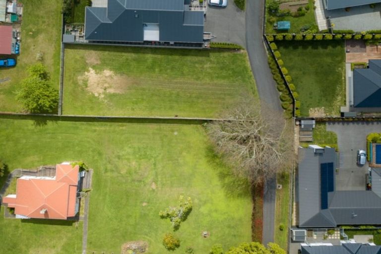 Photo of property in 91 Carmichael Road, Bethlehem, Tauranga, 3110