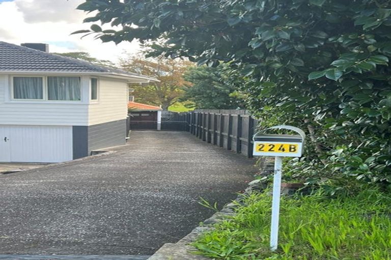 Photo of property in 2/224 Forrest Hill Road, Forrest Hill, Auckland, 0620
