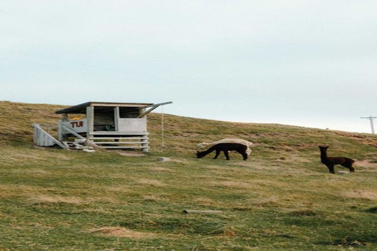 Photo of property in 120 Mair Road, Curio Bay, Tokanui, 9884