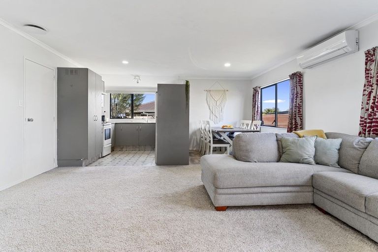 Photo of property in 8b College Place, Poike, Tauranga, 3112