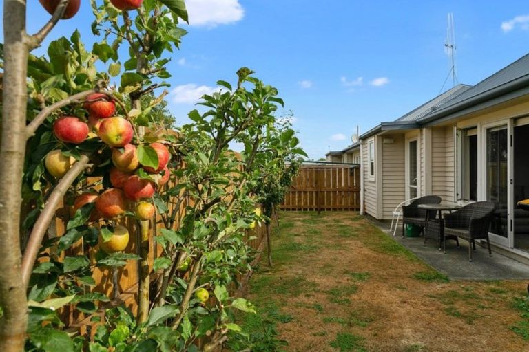 Photo of property in 129b Queen Street, Cambridge, 3434