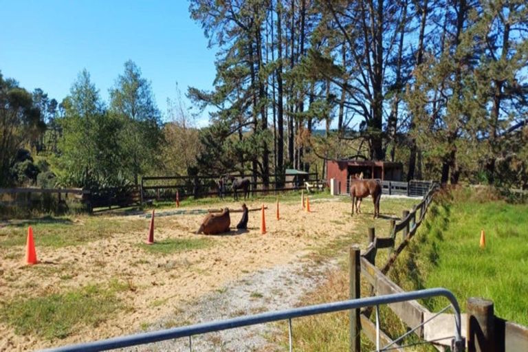 Photo of property in 238 Te Arai Point Road, Te Arai, Wellsford, 0975