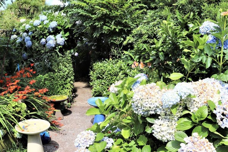 Photo of property in 124 Consols Street, Waihi, 3610