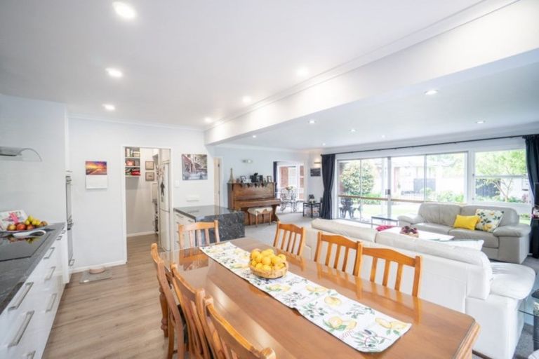 Photo of property in 9 Linmor Place, Terrace End, Palmerston North, 4410