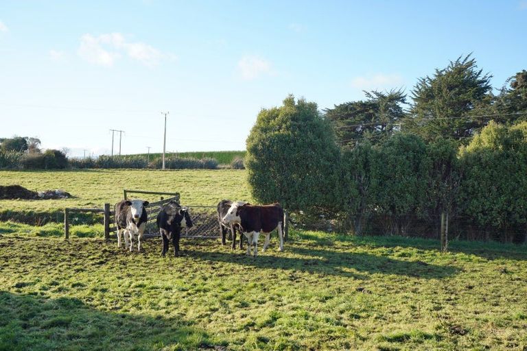 Photo of property in 180 Helena Road, Makarewa, Invercargill, 9876