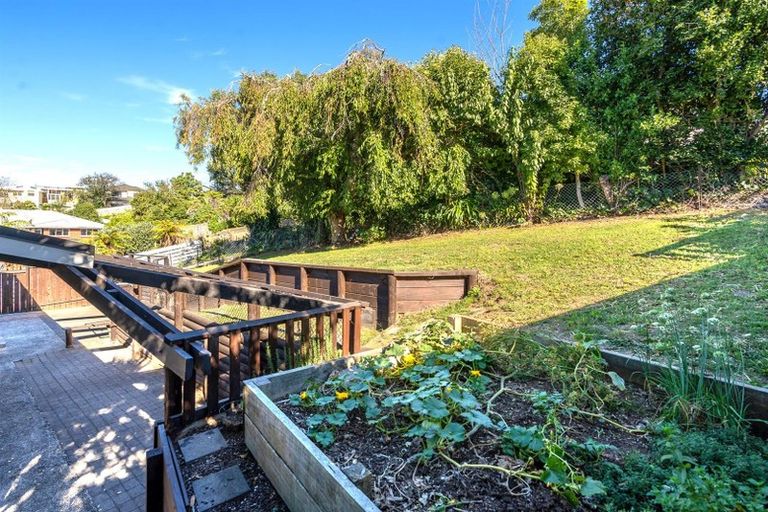 Photo of property in 58a Mahoe Street, Melville, Hamilton, 3206