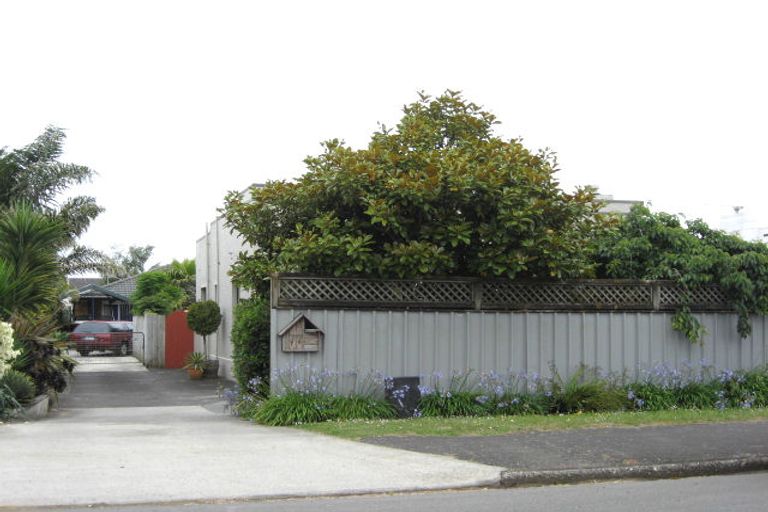 Photo of property in 77 Harris Street, Pukekohe, 2120