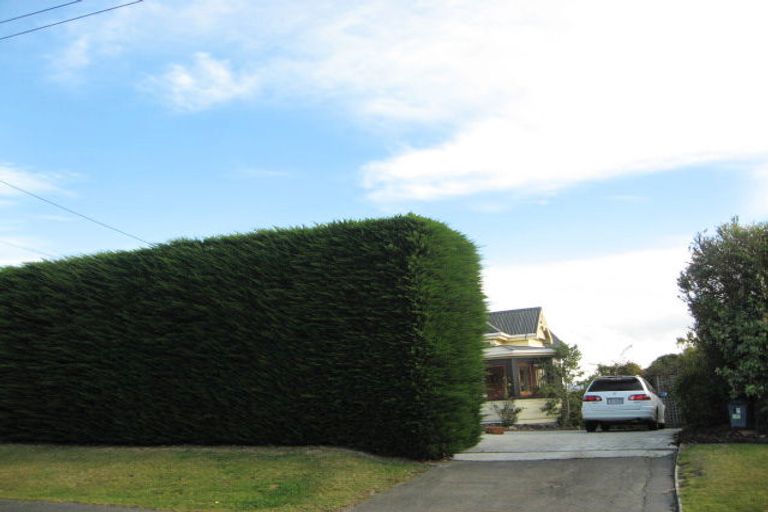 Photo of property in 57 Hunt Street, Andersons Bay, Dunedin, 9013