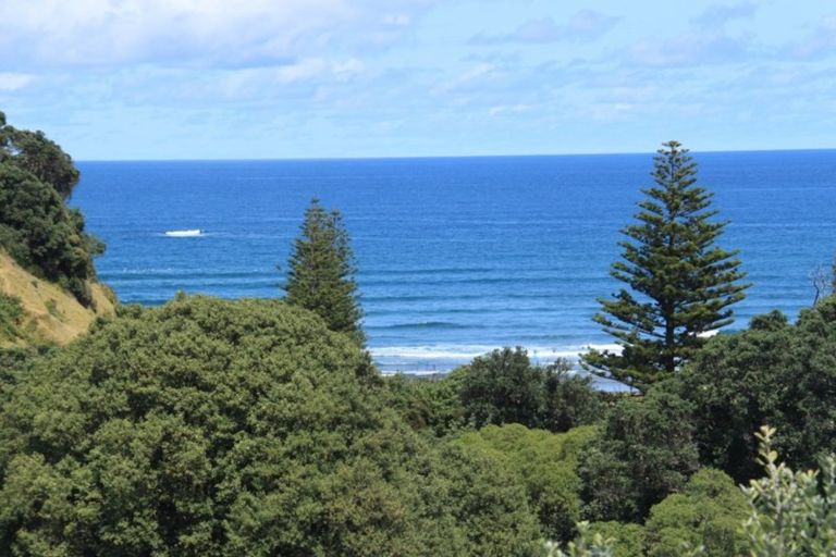 Photo of property in 25 Domain Crescent, Muriwai, Waimauku, 0881