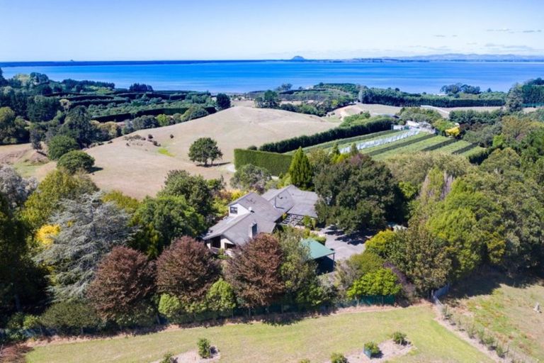 Photo of property in 214 Kauri Point Road, Tahawai, Katikati, 3170