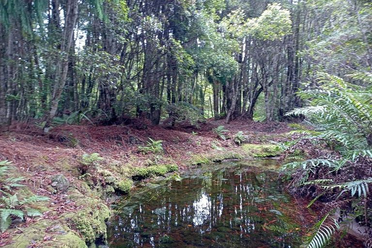 Photo of property in 1 Hurren Place West, Kumara Junction, Hokitika, 7882