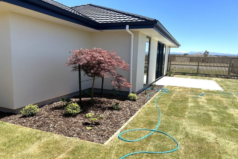 Photo of property in 19 Rubus Street, Appleby, Richmond, 7020