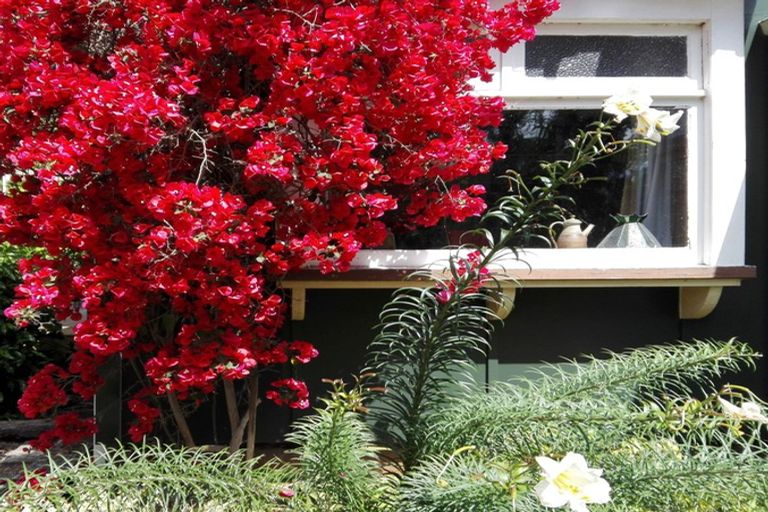 Photo of property in 4 Farndon Road, Clive, 4102