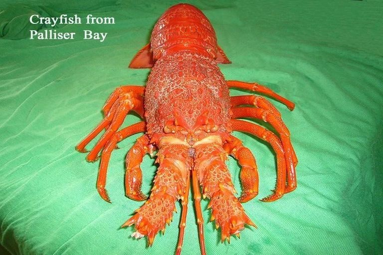 Photo of property in 59 Ocean Beach Road, Tairua, 3508