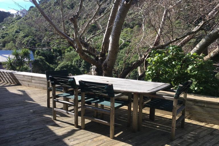 Photo of property in 4 Irvine Street, Aro Valley, Wellington, 6012