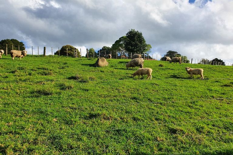 Photo of property in 44 Old Valley Road, Okaihau, 0475