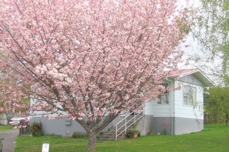 Photo of property in 73 Marshall Avenue, Richmond Heights, Taupo, 3330