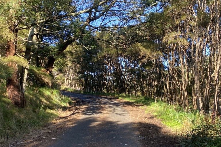 Photo of property in 309c Wentworth Valley Road, Whangamata, 3691