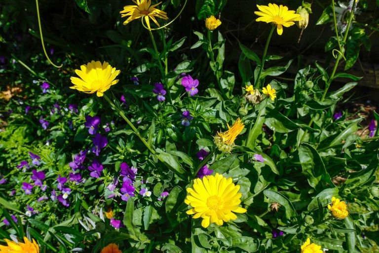 Photo of property in 19 Hakanoa Street, Huntly, 3700