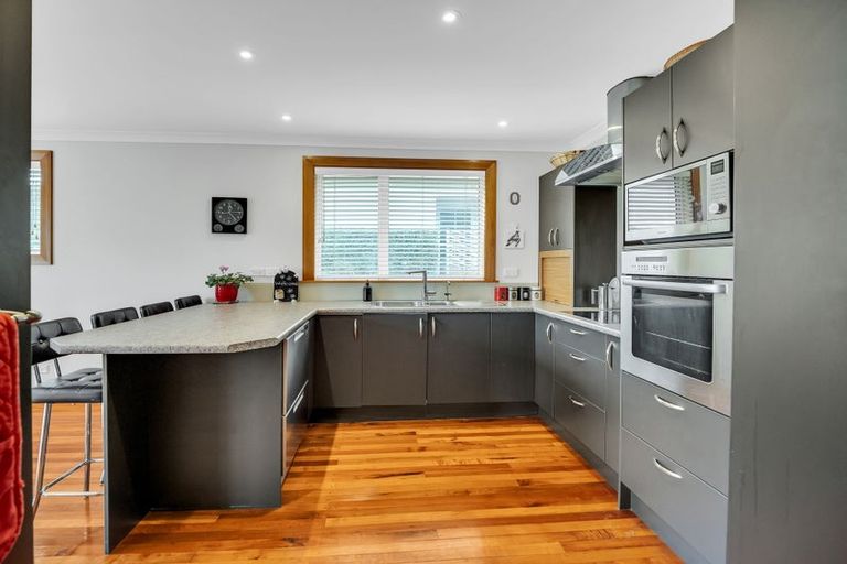 Photo of property in 17 Northfield Avenue, Opoho, Dunedin, 9010