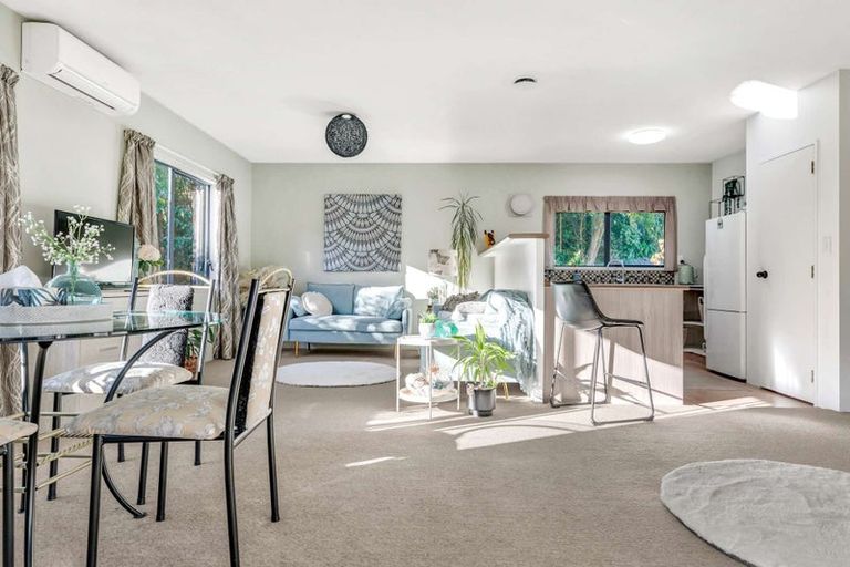 Photo of property in 409a Maungatapu Road, Maungatapu, Tauranga, 3112