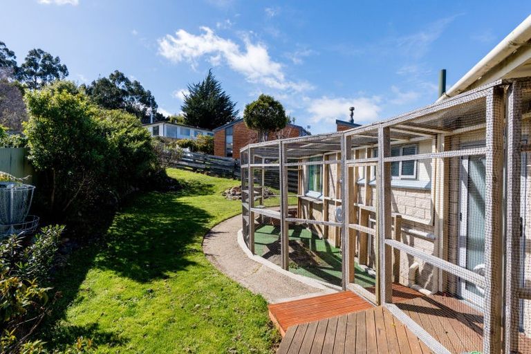 Photo of property in 7 Dalrymple Street, Pine Hill, Dunedin, 9010