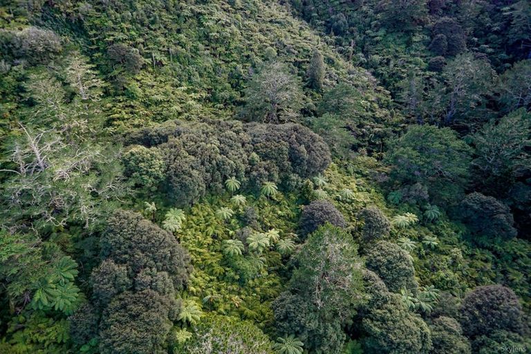 Photo of property in 26 Dashper Drive, Warkworth, 0981