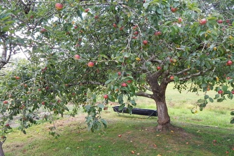 Photo of property in 2326 State Highway 69, Inangahua, Reefton, 7895