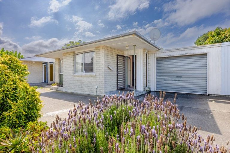 Photo of property in 2/163 Nelson Crescent, Napier South, Napier, 4110