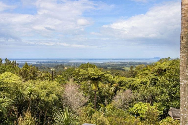 Photo of property in 425b Lund Road, Aongatete, Katikati, 3178