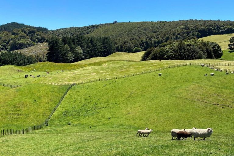 Photo of property in 400a Paradise Valley Road, Ngongotaha Valley, Rotorua, 3072