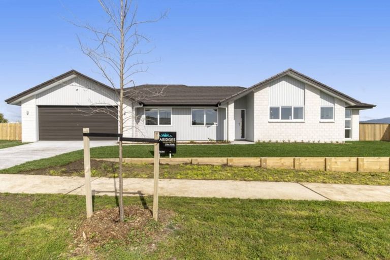 Photo of property in 6 Flounder Drive, Omokoroa, 3114