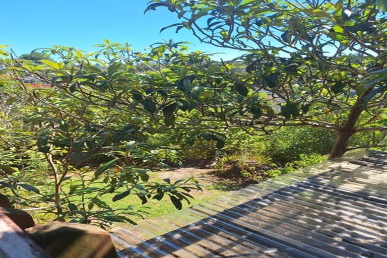 Photo of property in 125 Browns Bay Road, Browns Bay, Auckland, 0630